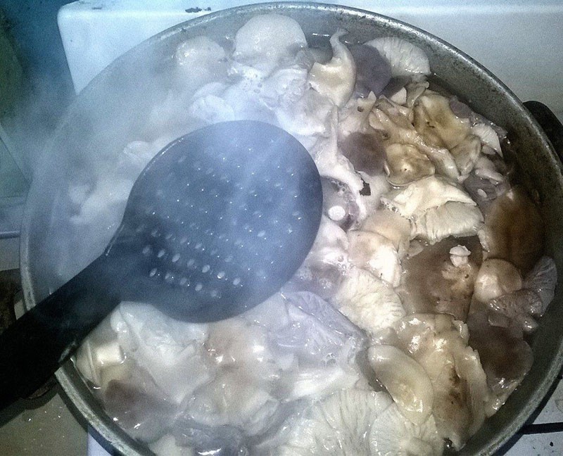 варить грибы