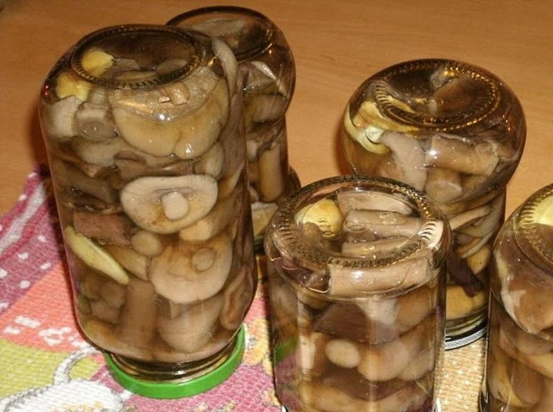 классический рецепт маринованных степных грибов