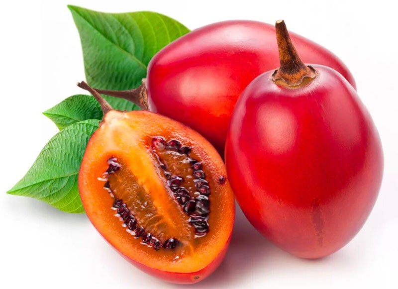 плоды томатного дерева в разрезе