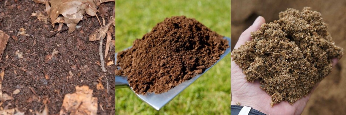 плодородный состав почвы