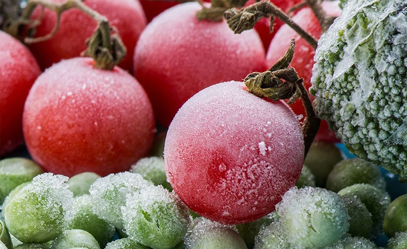 замороженные целые плоды томатов