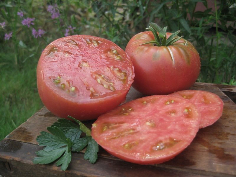 крупноплодный томат Микадо