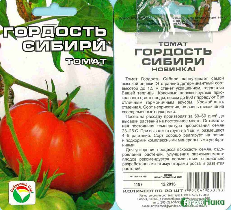 томат для теплицы гордость Сибири