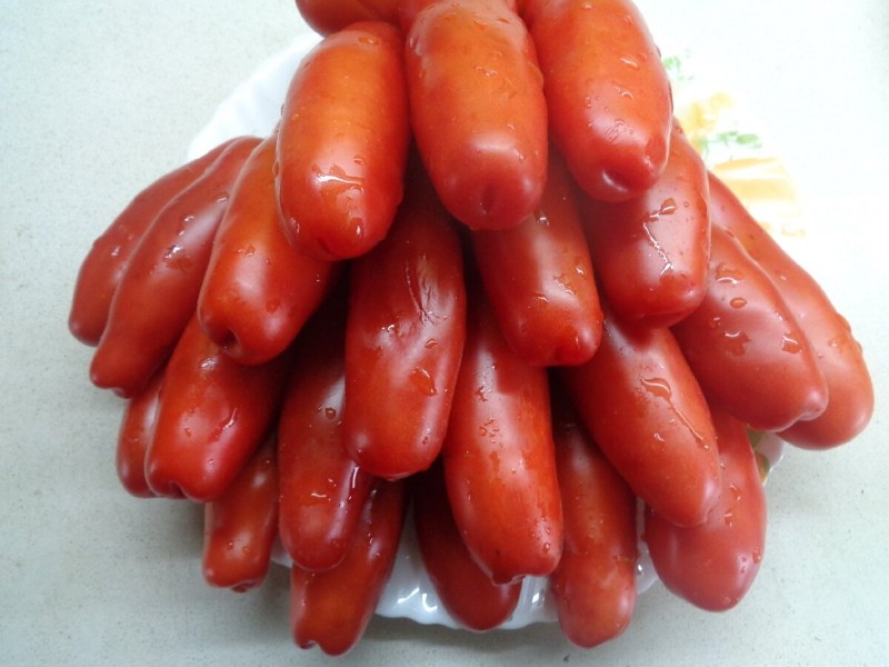 плюсы и минусы томатов казанова