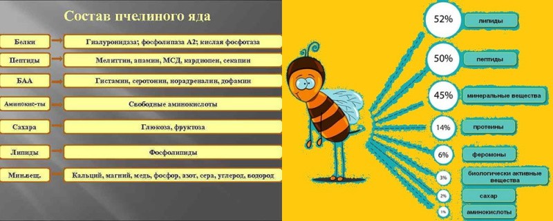 состав пчелиного яда