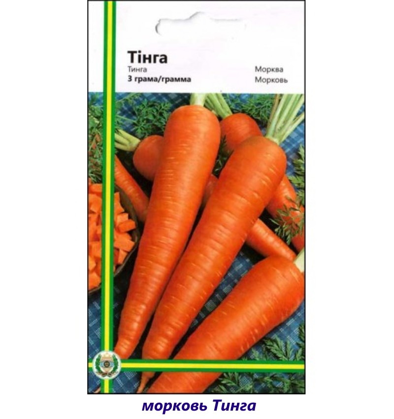 сорт моркови тинга