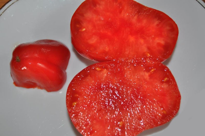 мясистая мякоть томатов сорта Севрюга