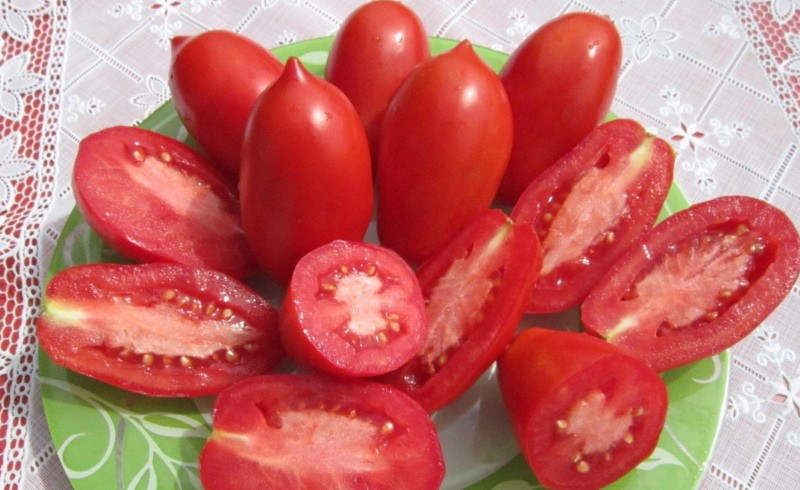 плоды томатов чудо лентяя