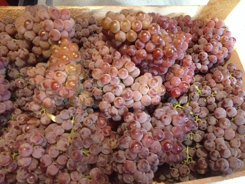 сушим виноград с использование пищевой соды