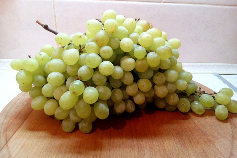 виноград для приготовления изюма