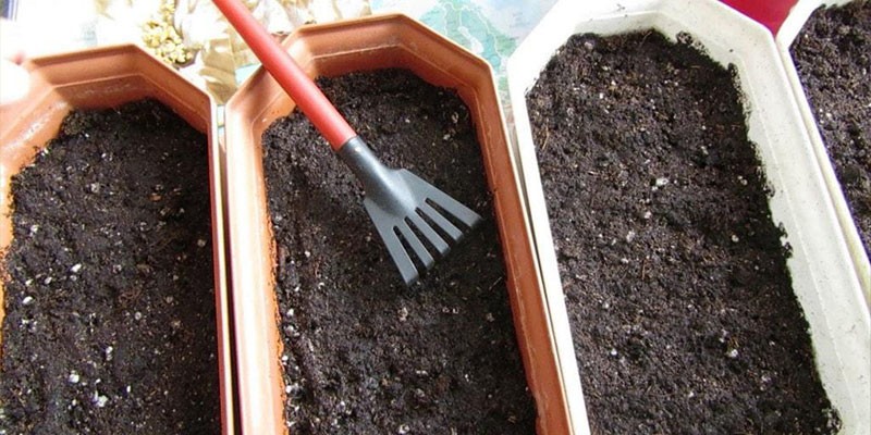 подготовка почвы для выращивания рассады