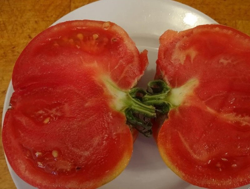плоды томата корнеевского
