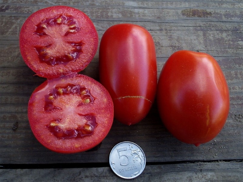 плоды томатов рио фуего