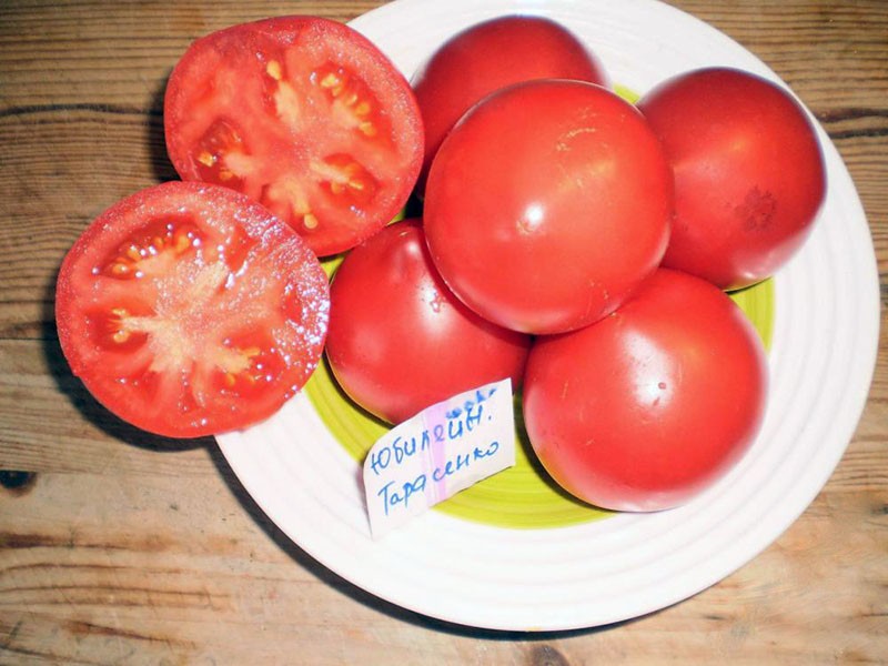 томаты в разрезе