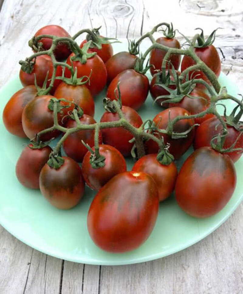 преимущества томатов черный мавр