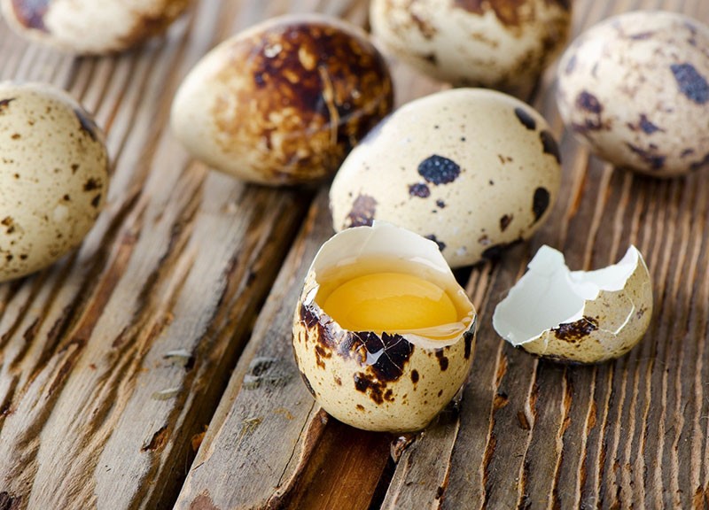 полезные свойства перепелиных яиц