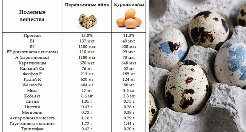 полезные вещества перепелиных и куриных яиц
