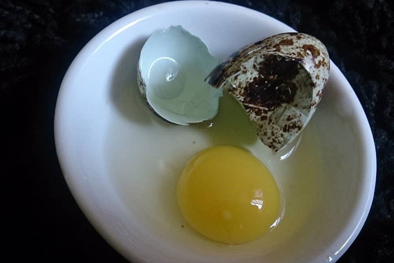 перепелиные яйца для здоровья будущей мамы