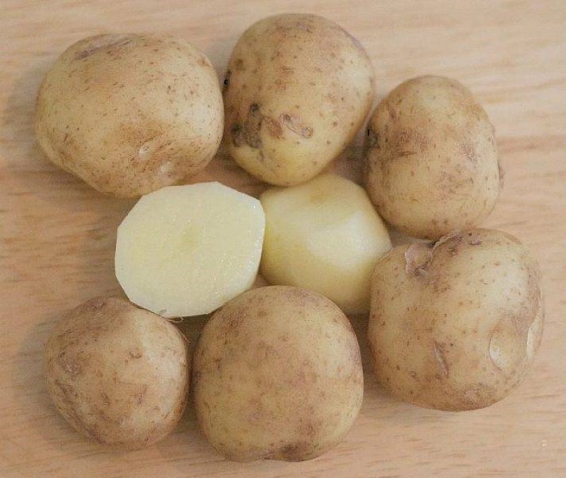 клубни картофеля лорх