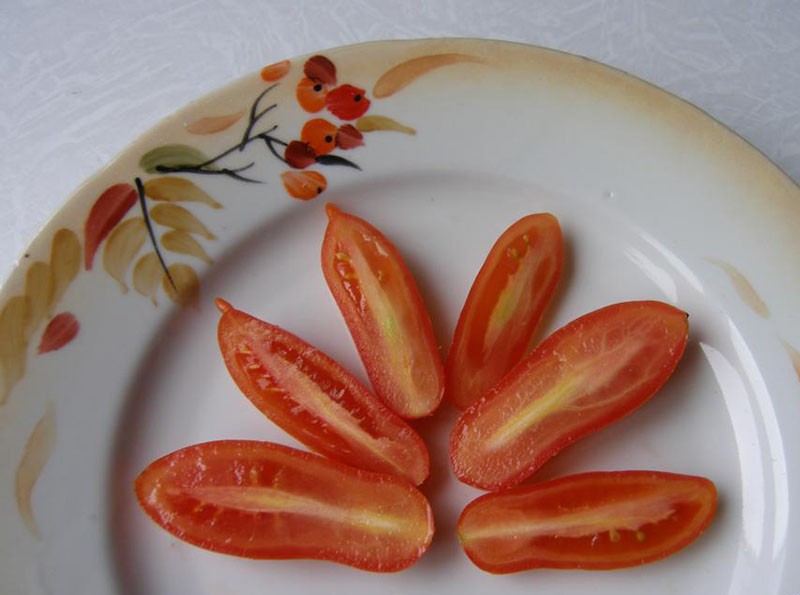 плоды томата в разрезе