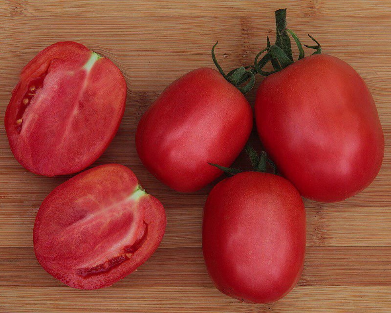 плоды томата столыпин