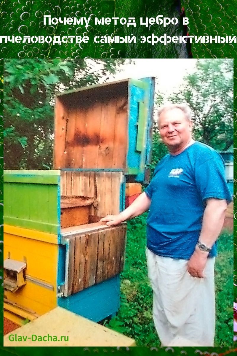 метод цебро в пчеловодстве