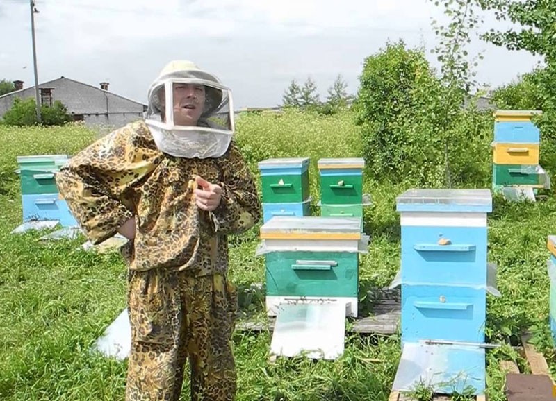 суть метода цебро в пчеловодстве