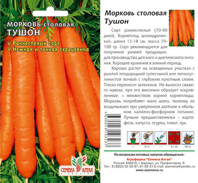 морковь тушон описание сорта