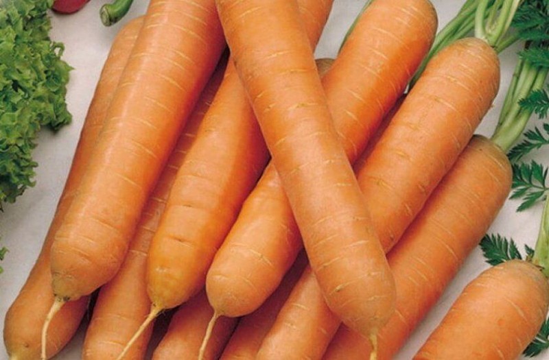 плюсы и минусы моркови тушон