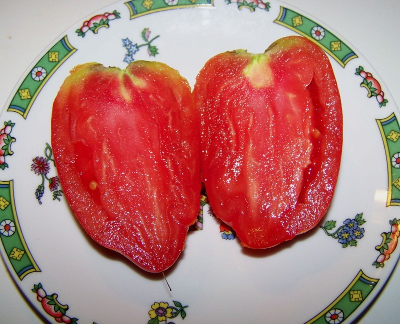 плоды томата корнабель
