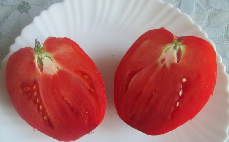 плоды томата король лондона
