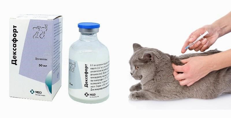 препарат дексафорт для кошек