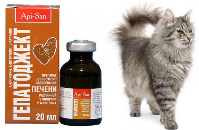 инструкция по применению препарата гепатоджект для кошек