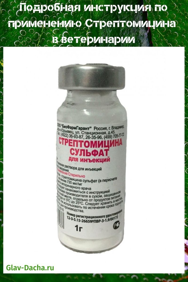 инструкция по применению стрептомицина