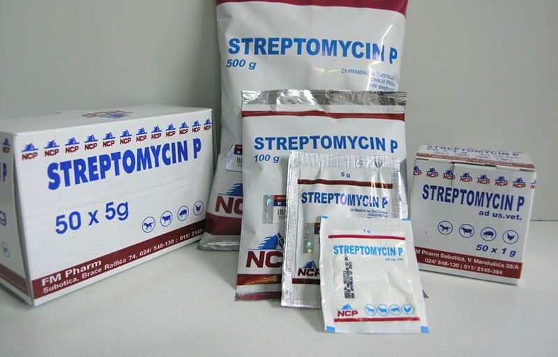 антибиотик стрептомицин