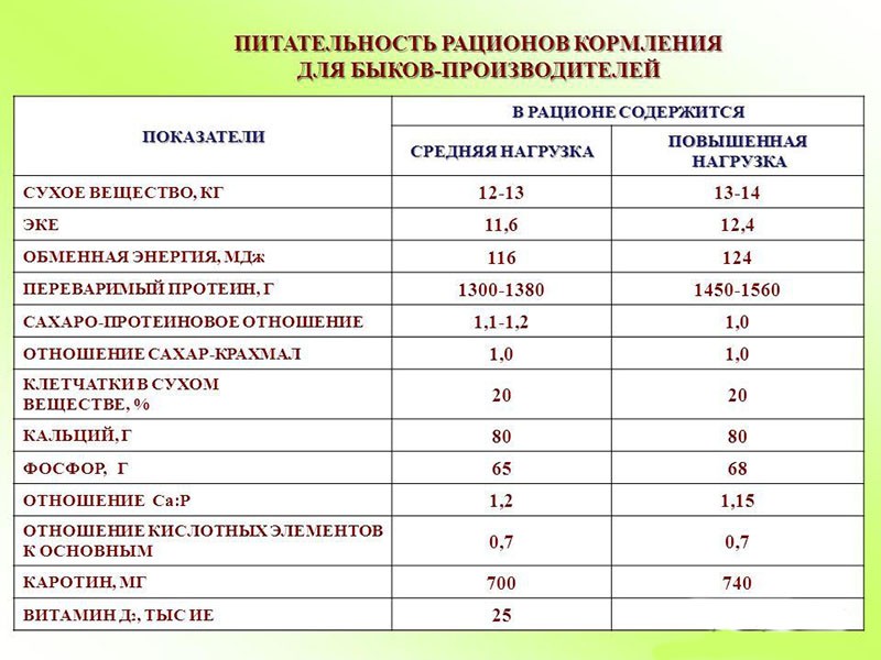 Можно ли кормить быков кашей