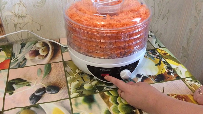 сушка моркови в электросушилке