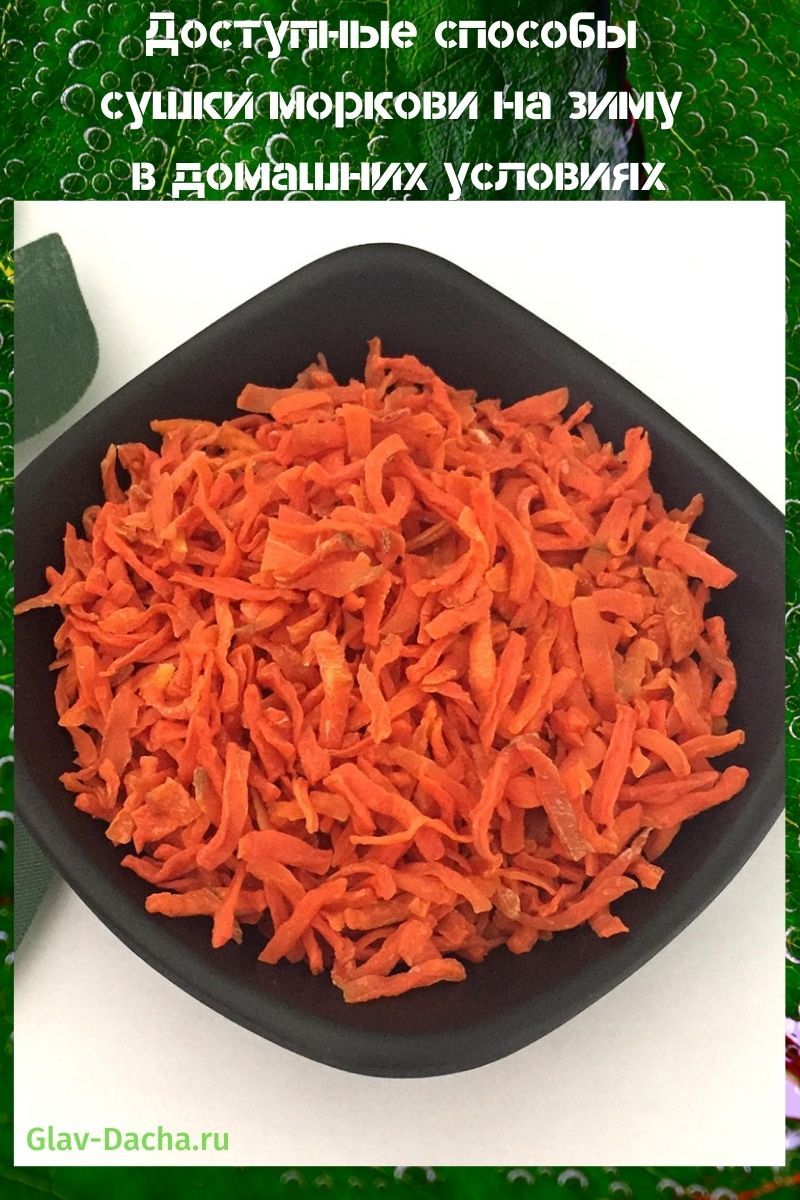 способы сушки моркови на зиму
