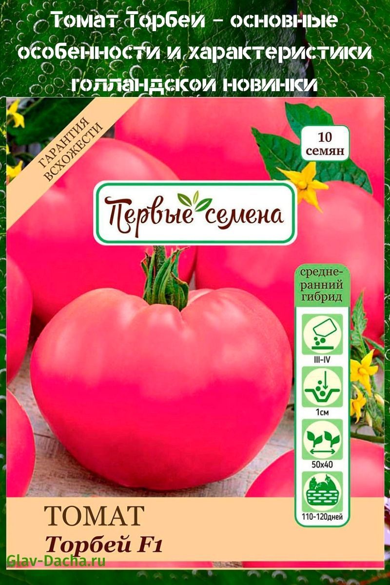 томат торбей