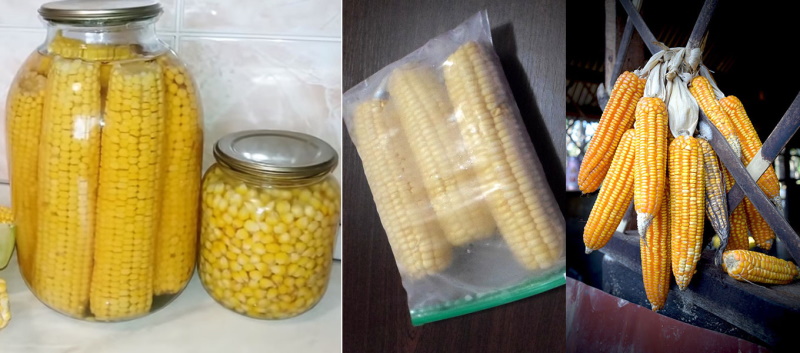 разные способы хранения кукурузы