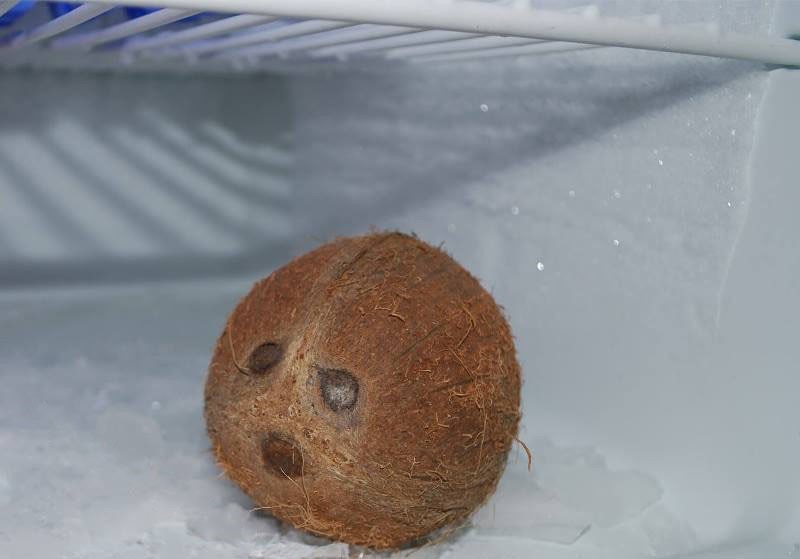 заморозка кокоса