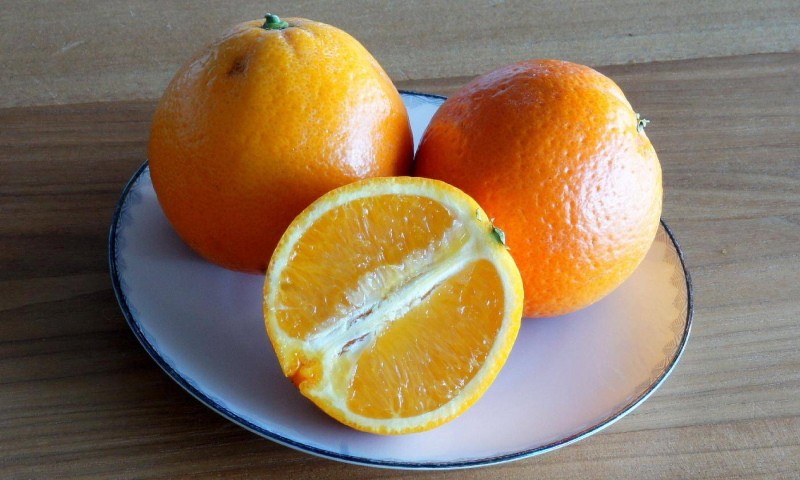 как часто можно есть апельсины