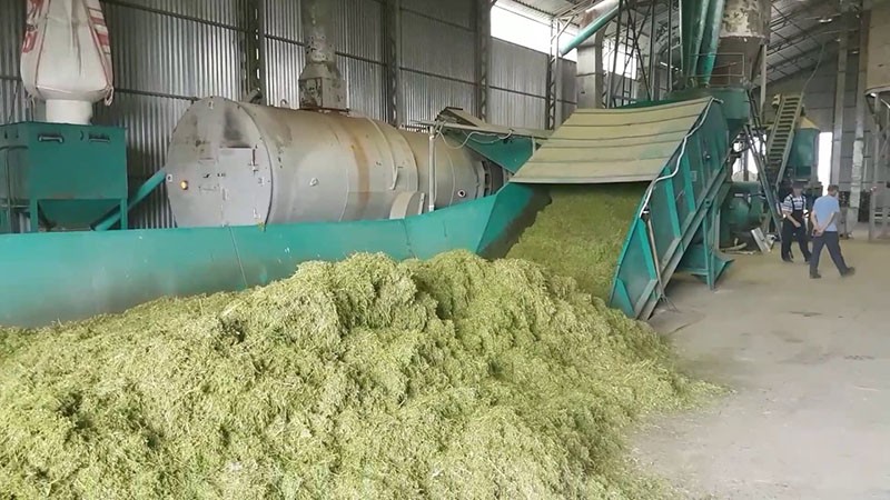 производство травяной муки