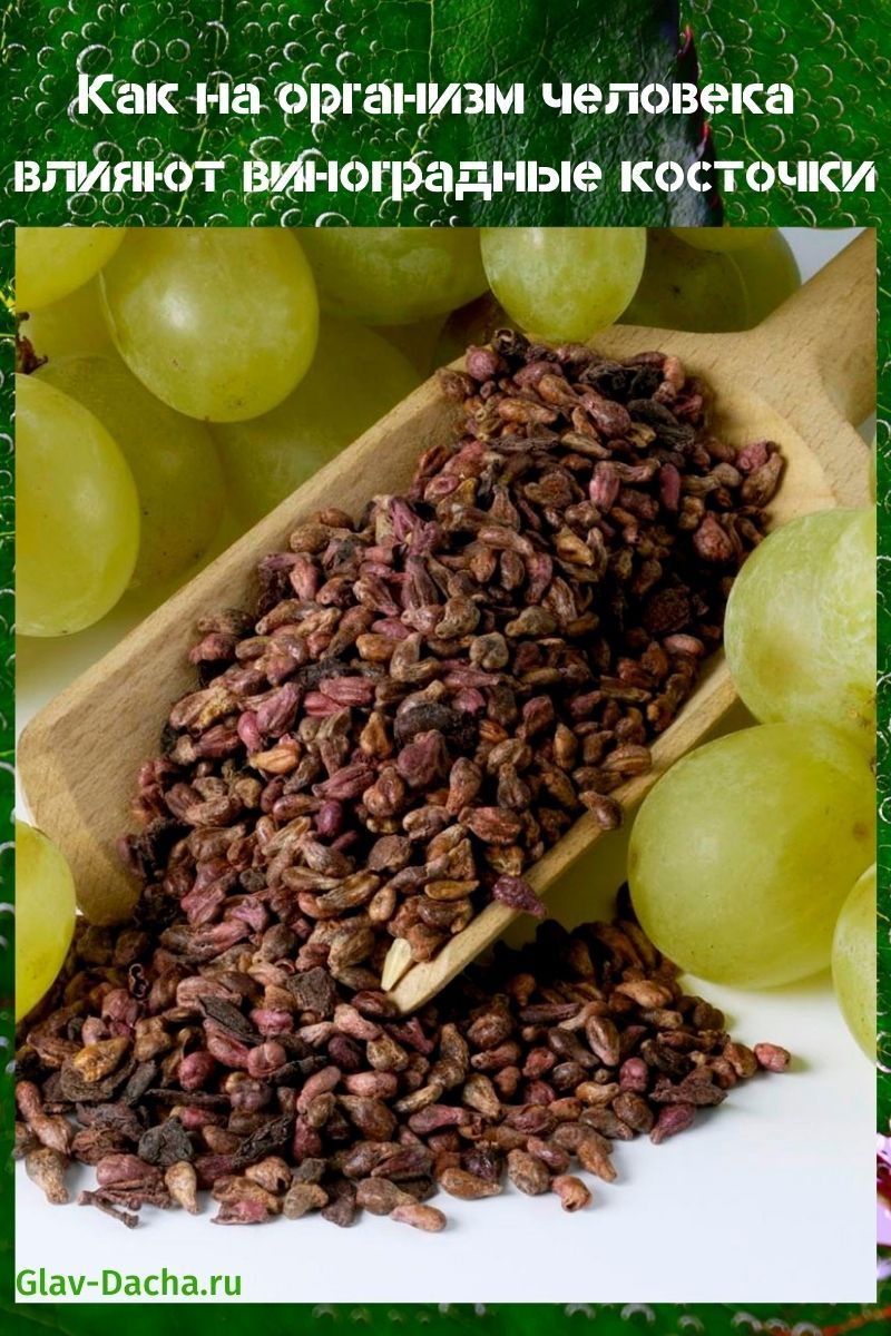 Kody a výhody hroznových semen