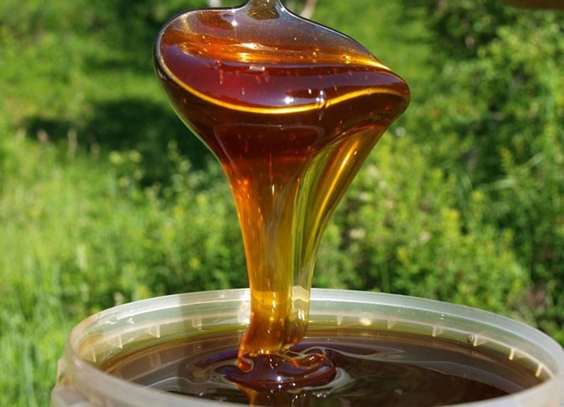натуральный дягилевый мед