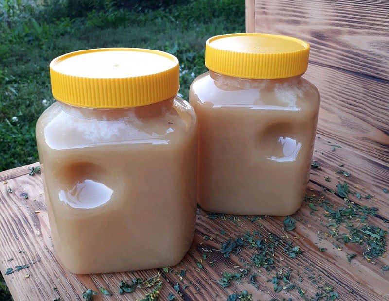 дягилевый мед полезные свойства