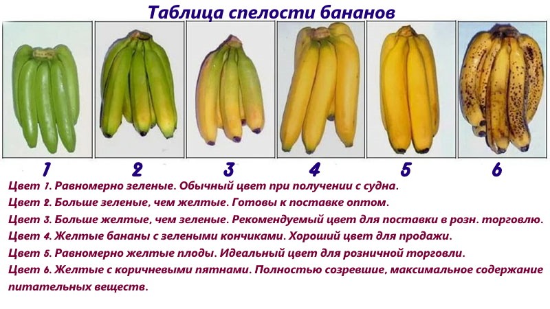 степени спелости бананов