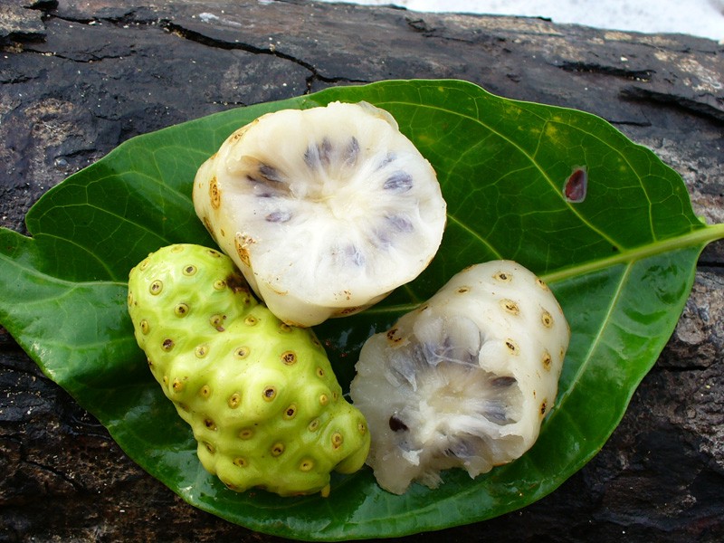 плоды моринды или сырного дерева