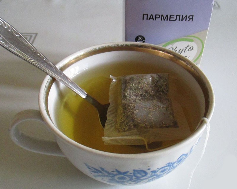 чай из лишайника пармелия