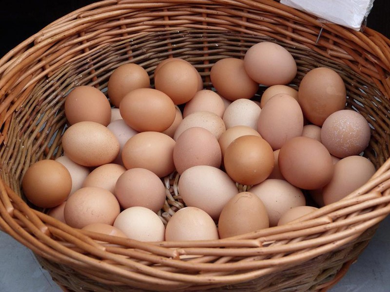 свежие куриные яйца